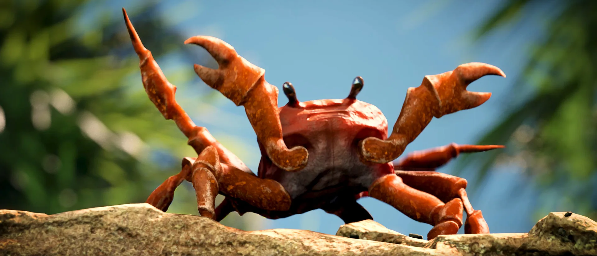 crab rave